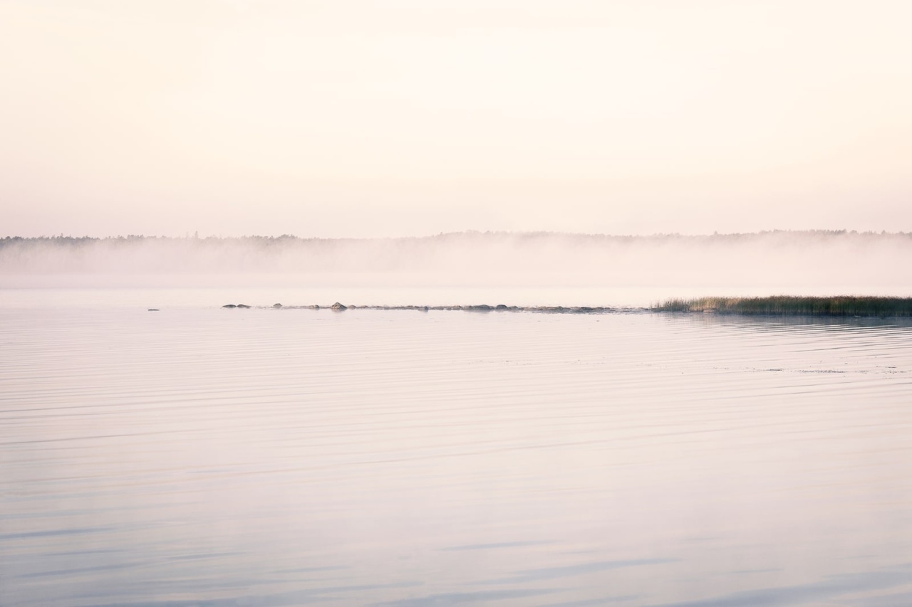 Fototapet, Misty Water, Rebel Walls - 2
