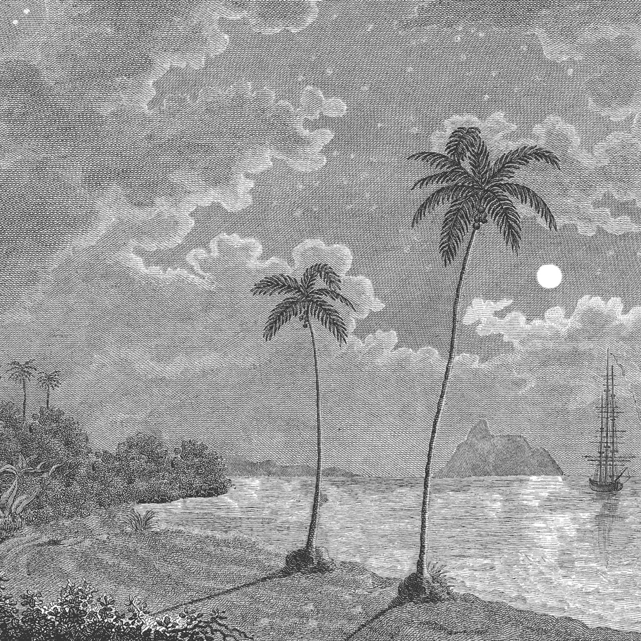 Fototapet, Palm Beach, Black & White, Rebel Walls - 2