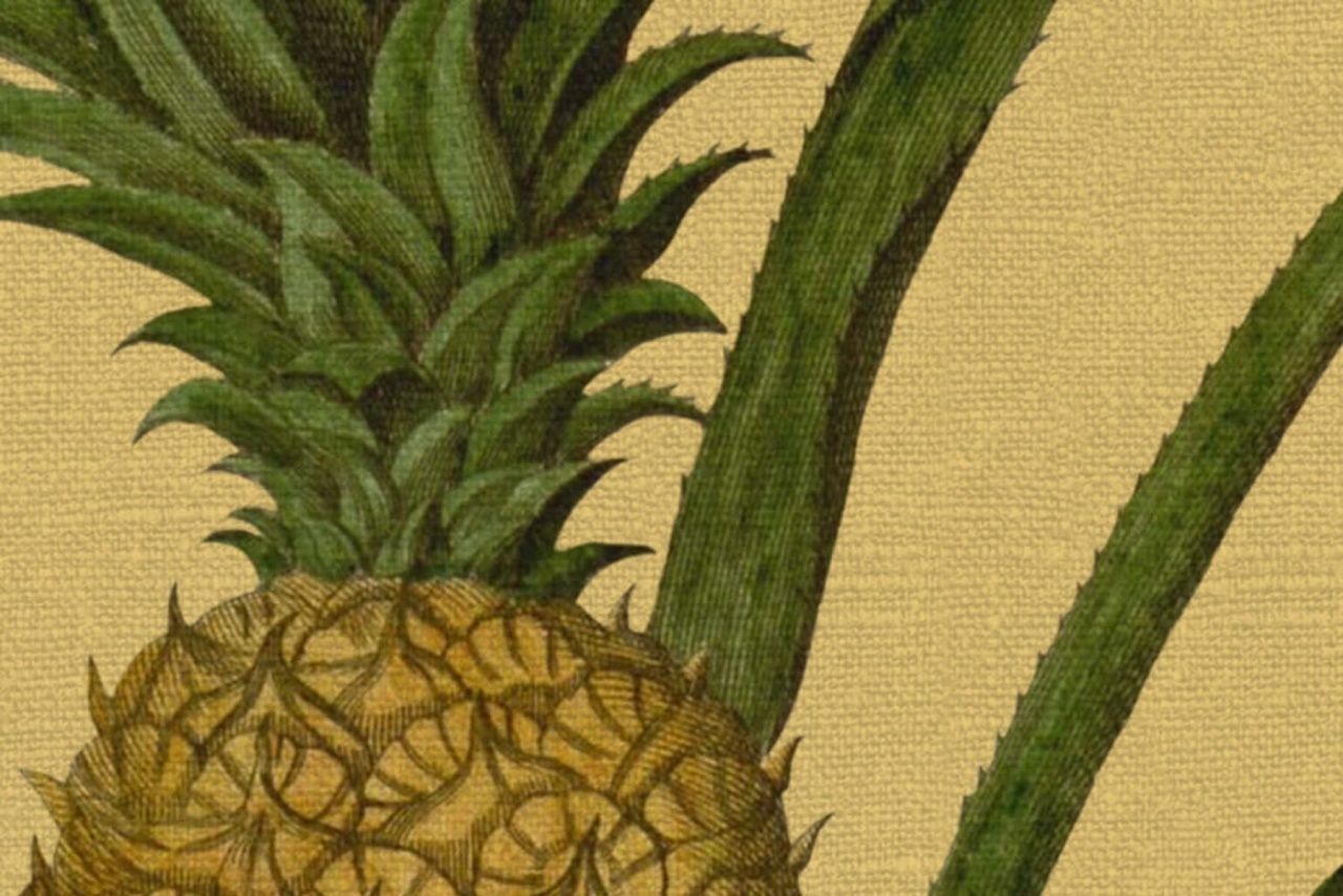 Fototapet, Pineapple, Sunshine, Rebel Walls - 4