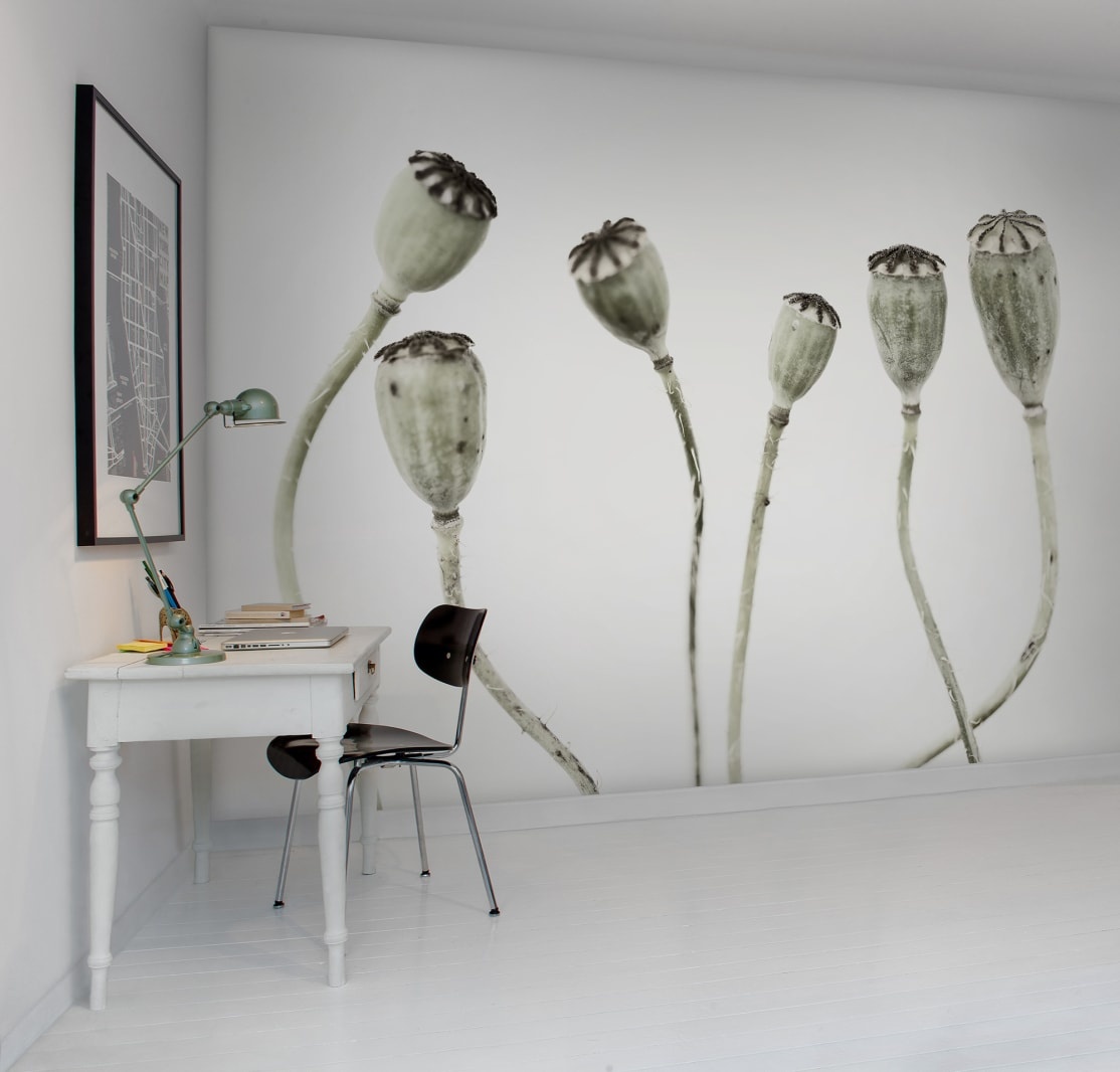 Fototapet, Simple Seedpod, Rebel Walls - 3