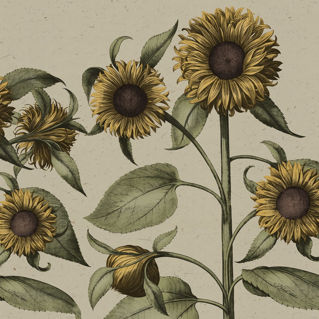 Fototapet, Sunflower, Yellow, Rebel Walls - 2