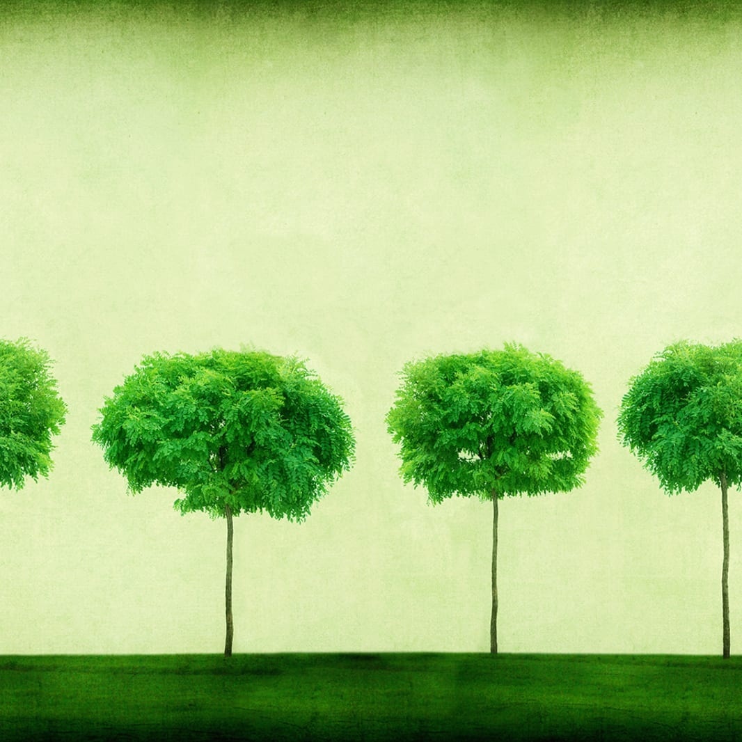 Fototapet, Three Trees, Rebel Walls - 2