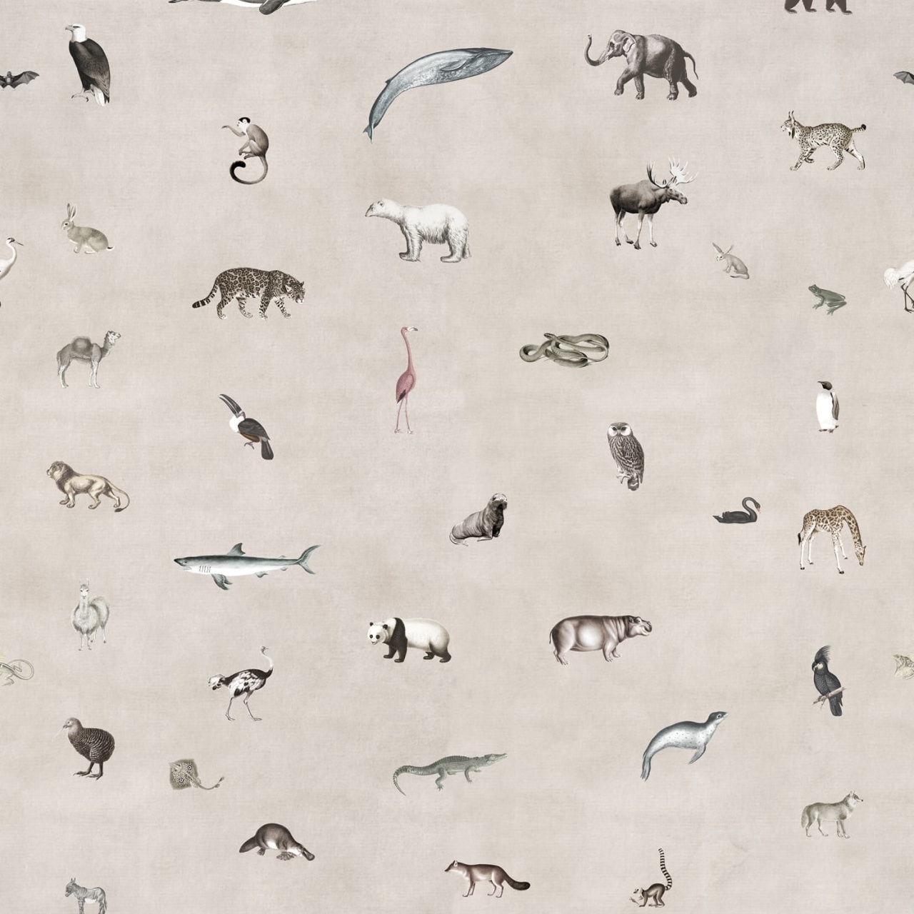 Fototapet, Wildlife, Sand, Rebel Walls - 2