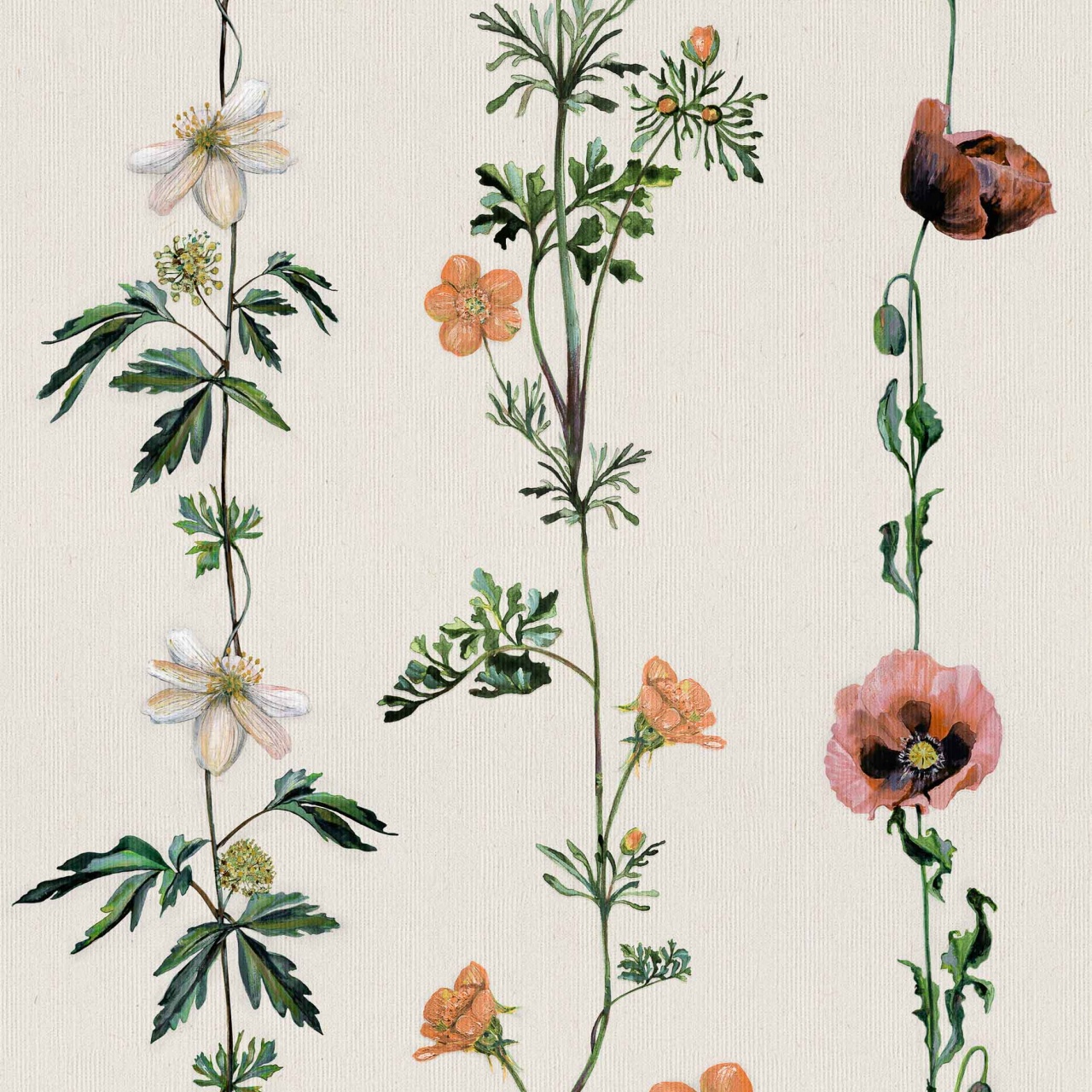 Tapet Climbing Flowers, Linen, Coordonne 5mp / rola - 2