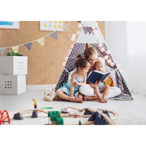 Aditiv de igienizare VH 2020 pentru interior - Img 2