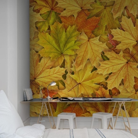 Fototapet, Autumn Leaves, Rebel Walls