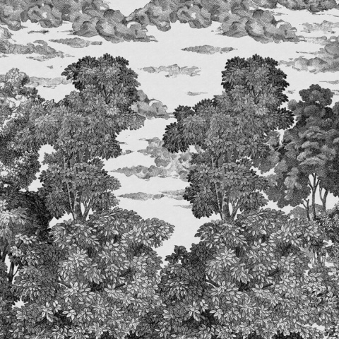 Fototapet, Bellewood under the Clouds, Graphite, Rebel Walls - Img 5
