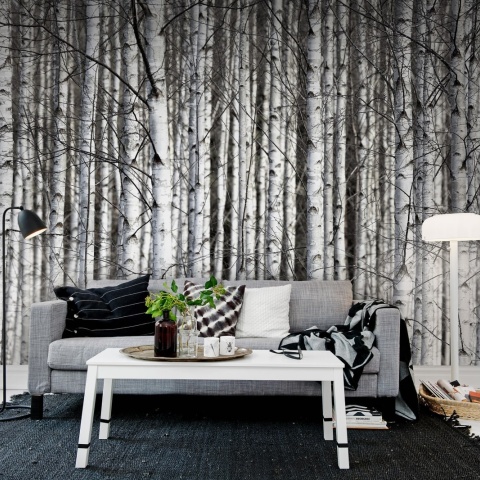Fototapet, Birch Trunks, Rebel Walls - Img 3