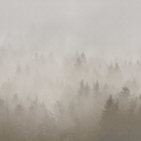 Fototapet, Cloudy Forest, Beige, Rebel Walls - Img 2