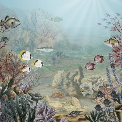 Fototapet Coral Creatures, Sir Edward - Img 2