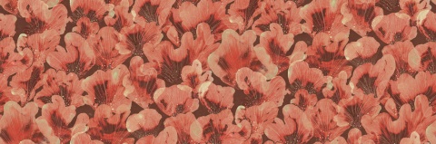 Fototapet, Corals, Red, Rebel Walls - Img 2