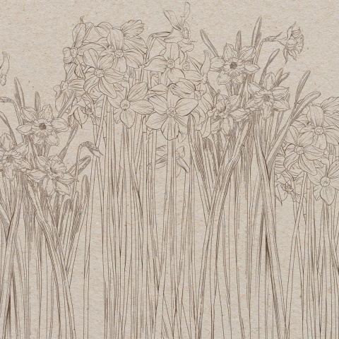 Fototapet, Daffodil, Beige, Rebel Walls - Img 2