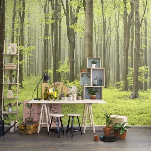 Fototapet, Deciduous Forest, Rebel Walls - Img 5
