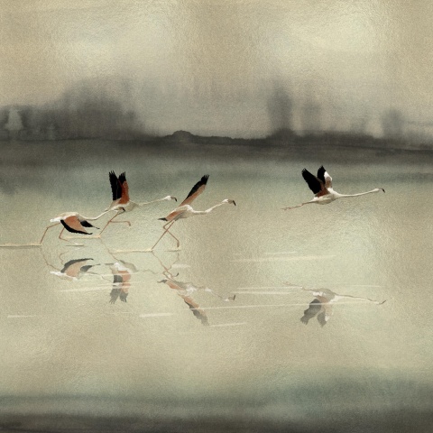 Fototapet Doñana, Gold, Coordonne - Img 2
