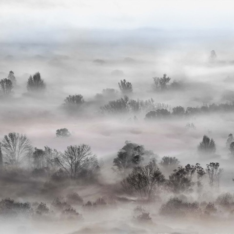 Fototapet Foggy Landscape Pastels, VLAdiLA - Img 2