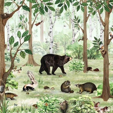Fototapet Forest Lookbook, Kikki Belle - Img 2