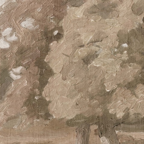 Fototapet lavabil, Hedgerow Landscape 9671W - Img 3