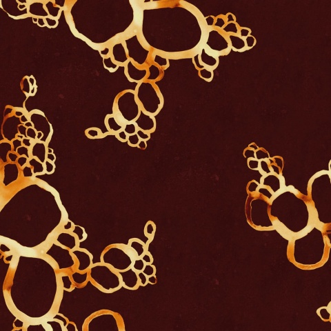 Fototapet, Lightning Clownfish, Gold, Rebel Walls - Img 2