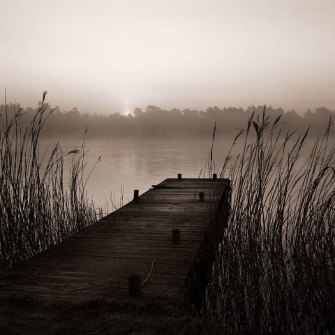 Fototapet, Misty Lake, Rebel Walls - Img 2