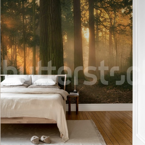 Fototapet, Misty Morning, Soft, Rebel Walls - Img 3