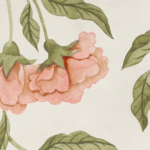 Fototapet, Peony Bloom, Pink, Rebel Walls - Img 4
