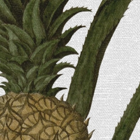 Fototapet, Pineapple, Rebel Walls - Img 4