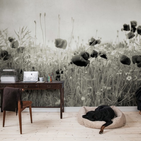 Fototapet, Poppy Field, Vintage, Rebel Walls - Img 4