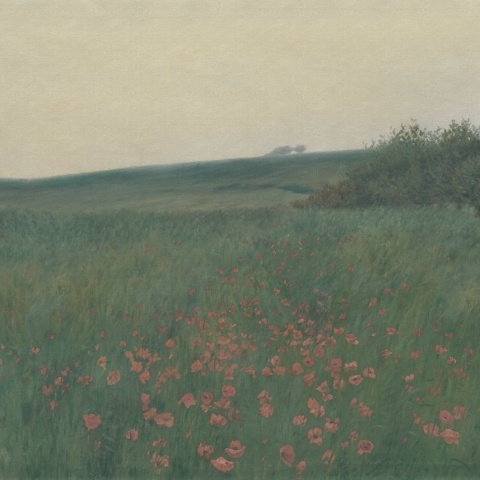 Fototapet, Poppy Landscape, Dawn, Rebel Walls - Img 2