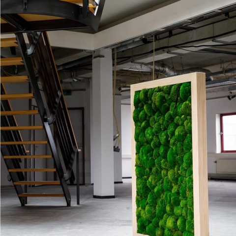 Panou decorativ din muschi, Gamme Cushion Moss - Img 5