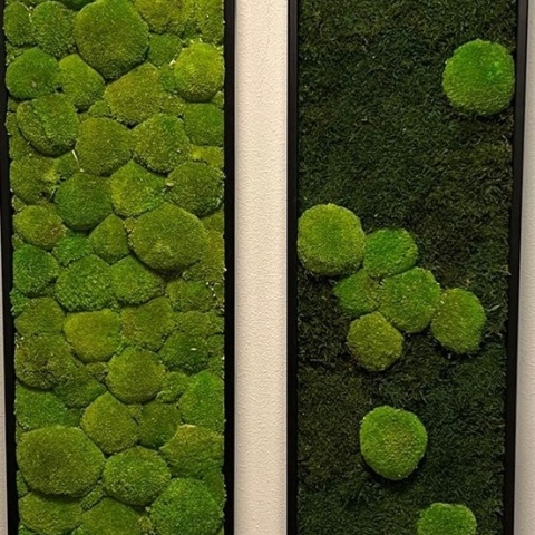 Panou decorativ din muschi, Staloluokta Flatmoss Moss Green - Img 4