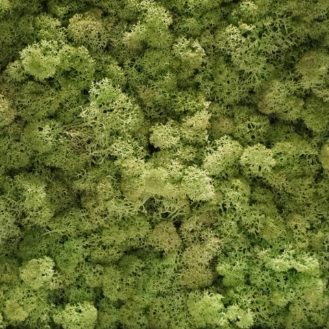 Panou decorativ din muschi, Torvtak Icemoss Mint Green - Img 4