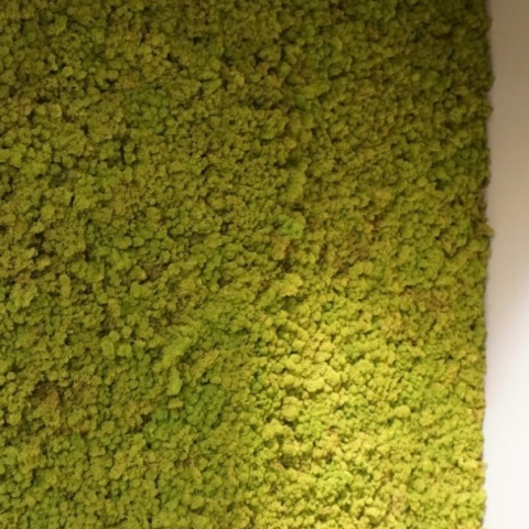 Panou decorativ din muschi, Torvtak Icemoss Spring Green - Img 5