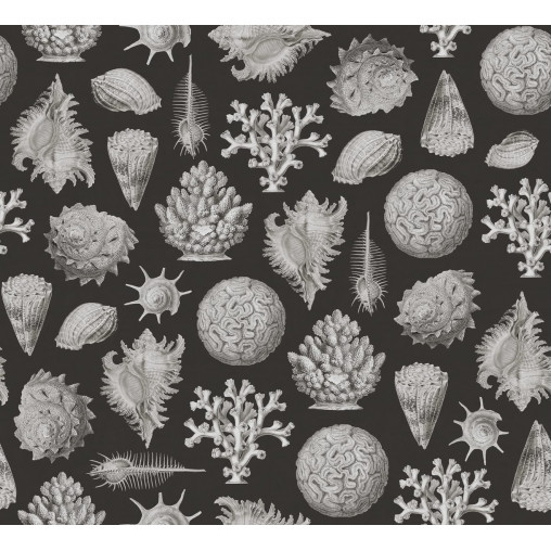 Tapet Seashells, Graphite, Rebel Walls - Img 2