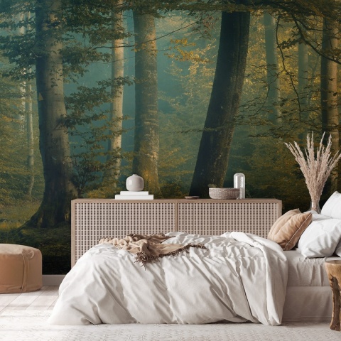 Fototapet, Beech Forest, Rebel Walls