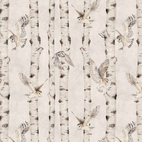 Fototapet Birch and Owls - White, Kikki Belle - Img 2