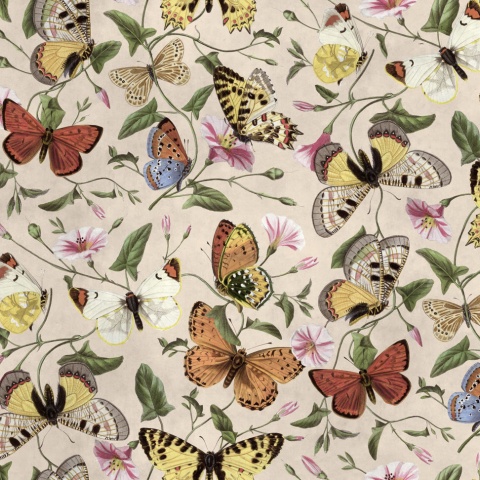 Fototapet, Butterflies, Color, Rebel Walls - Img 2