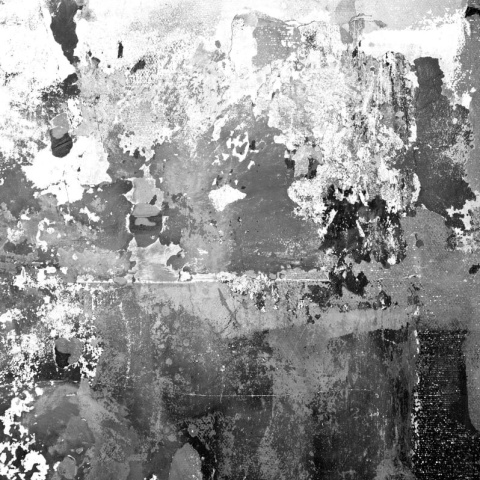 Fototapet, Charcoal, Rebel Walls - Img 5