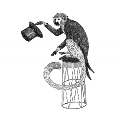 Fototapet, Circus Animal, Mr Monkey, Rebel Walls - Img 2