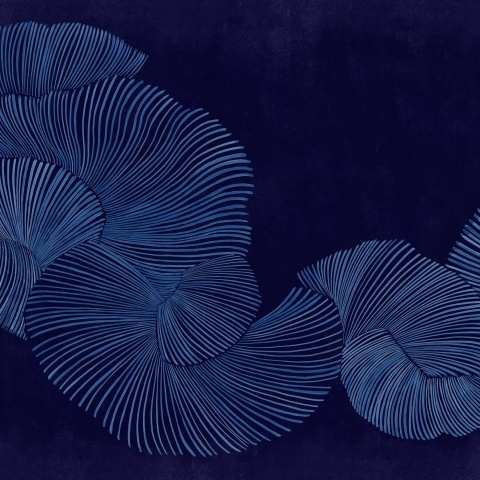 Fototapet Diving Moment, Indigo, Coordonne - Img 2