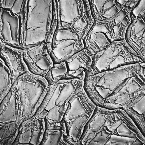 Fototapet, Dried Clay, Rebel Walls - Img 5