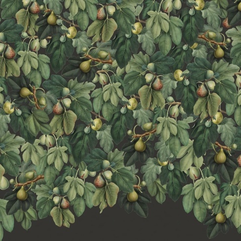 Fototapet, Fig Tree, Lush, Rebel Walls - Img 2