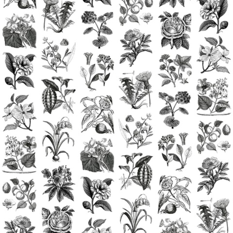 Fototapet, Fruit &amp; Flora, Rebel Walls - Img 2
