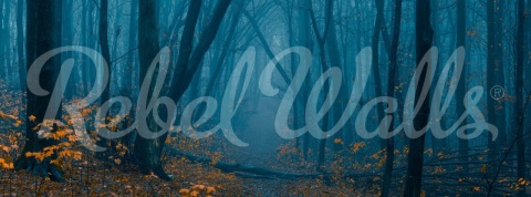 Fototapet, Hazy Forest, Rebel Walls - Img 2