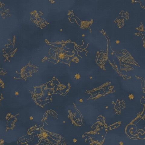 Fototapet lavabil, Constellations 9561W - Img 2