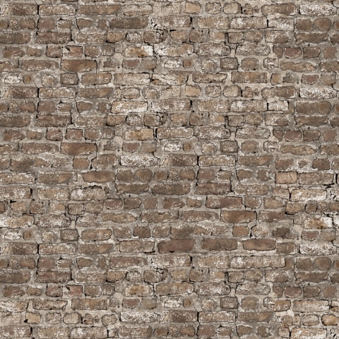 Fototapet, Leiria, Sand, Rebel Walls - Img 2