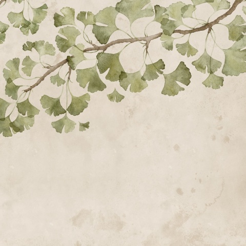 Fototapet, Maidenhair Tree, Light Green, Rebel Walls - Img 2