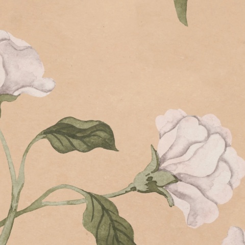 Fototapet, Peony Bloom, Peach, Rebel Walls - Img 4