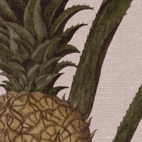 Fototapet, Pineapple, Soft Pink, Rebel Walls - Img 4