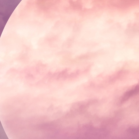 Fototapet, Pink Moon, Rebel Walls - Img 3