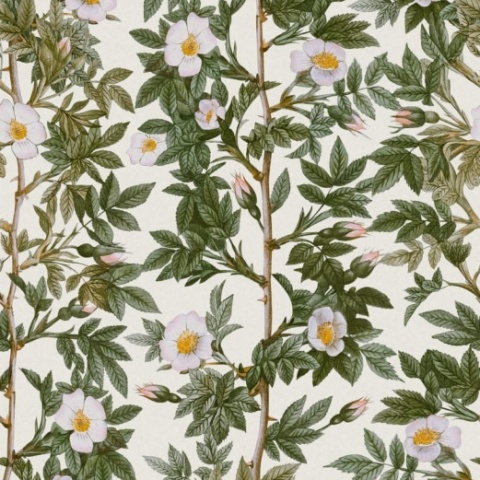 Fototapet, Rose Hip, Green, Rebel Walls - Img 2